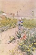 Carl Larsson In the Kitchen Garden painting